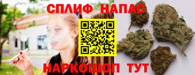 Альфа ПВП Кингисепп
